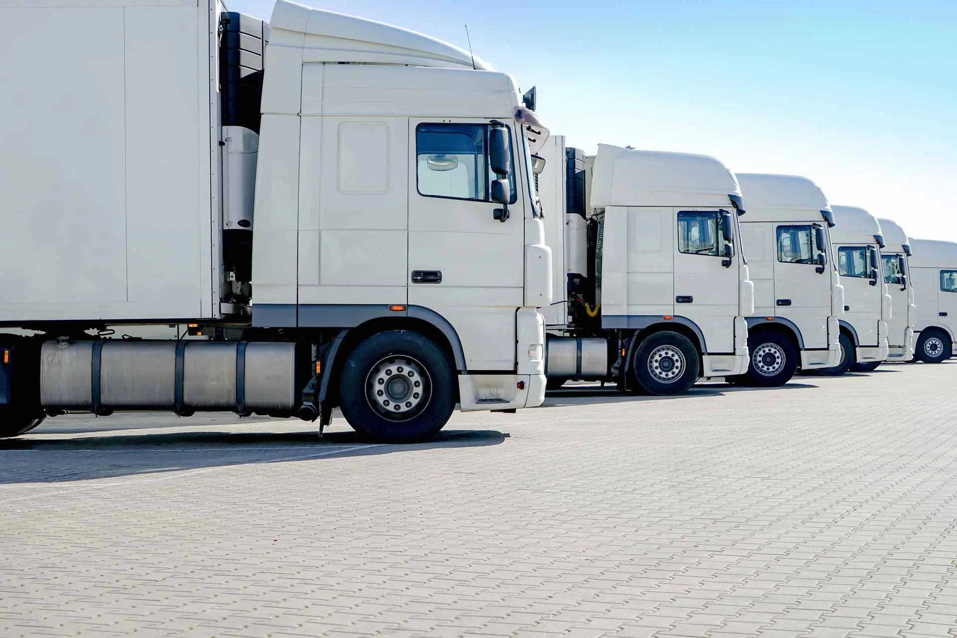 Zwei weiße LKW auf einem Parkplatz